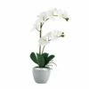 Deals 🛒 Mikasa® 22 Inch Faux Orchid with Blue Pot, White 🎁