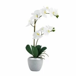 Deals 🛒 Mikasa® 22 Inch Faux Orchid with Blue Pot, White 🎁