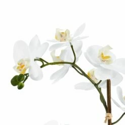 Deals 🛒 Mikasa® 22 Inch Faux Orchid with Blue Pot, White 🎁 -Mikasa Sales 2023 artificial white orchid plant with blue pot 5275268 4