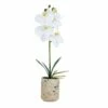 Promo 🔔 Mikasa® 14-1/2 Inch Faux Orchid with Tan Pot, White 🔔