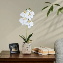 Promo 🔔 Mikasa® 14-1/2 Inch Faux Orchid with Tan Pot, White 🔔 9 Promo 🔔 Mikasa® 14-1/2 Inch Faux Orchid with Tan Pot, White 🔔 -Mikasa Sales 2023 artificial white orchid plant with tan pot 5275286 3