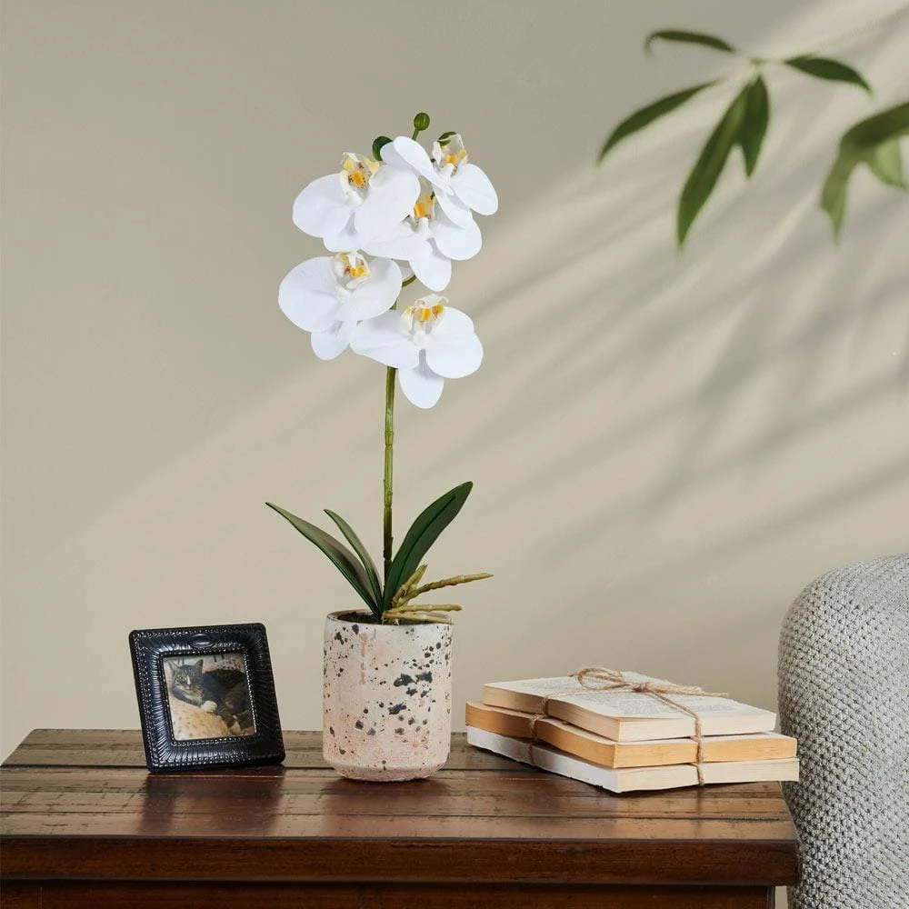 Promo 🔔 Mikasa® 14-1/2 Inch Faux Orchid with Tan Pot, White 🔔 5 Promo 🔔 Mikasa® 14-1/2 Inch Faux Orchid with Tan Pot, White 🔔 - Image 3