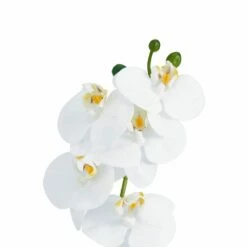 Promo 🔔 Mikasa® 14-1/2 Inch Faux Orchid with Tan Pot, White 🔔 10 Promo 🔔 Mikasa® 14-1/2 Inch Faux Orchid with Tan Pot, White 🔔 -Mikasa Sales 2023 artificial white orchid plant with tan pot 5275286 4