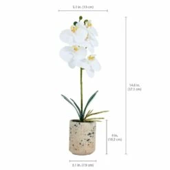Promo 🔔 Mikasa® 14-1/2 Inch Faux Orchid with Tan Pot, White 🔔 11 Promo 🔔 Mikasa® 14-1/2 Inch Faux Orchid with Tan Pot, White 🔔 -Mikasa Sales 2023 artificial white orchid plant with tan pot 5275286 5