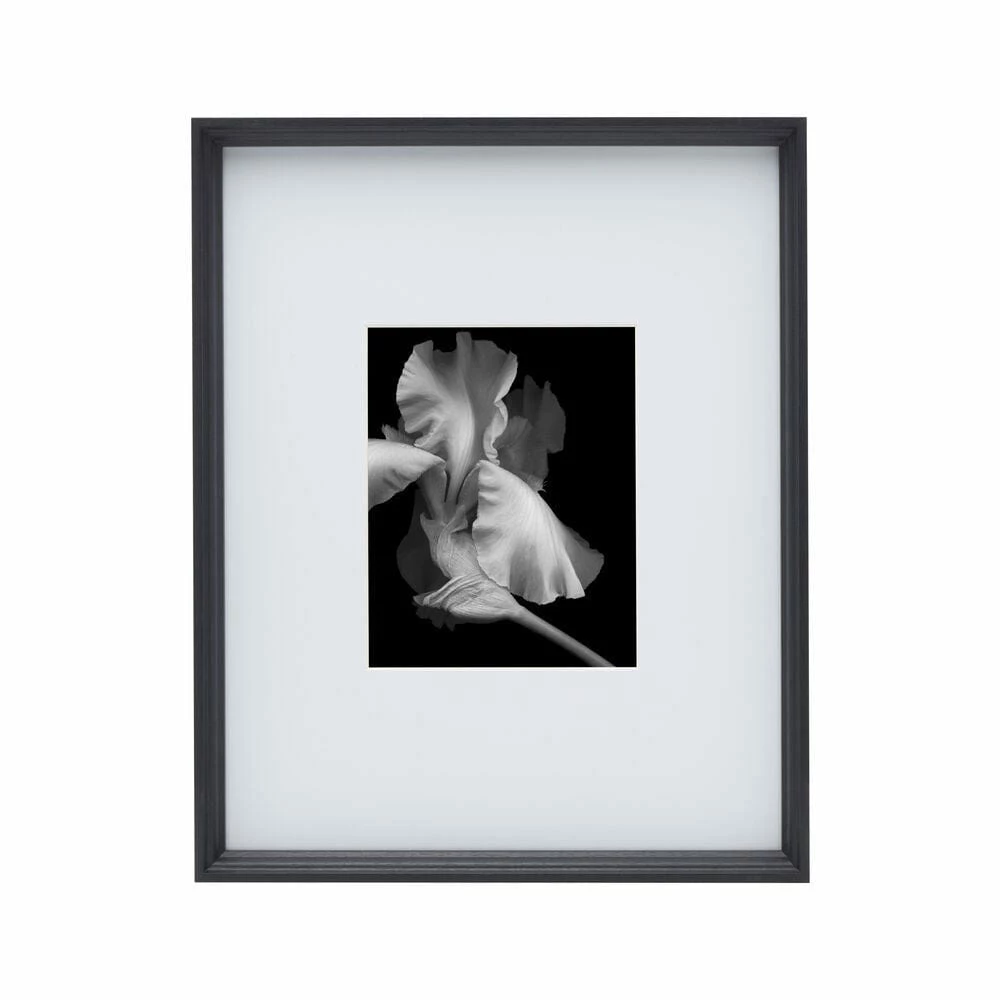 Brand new ✨ Studio Nova Black 16 x 20 Gallery Frame, Matted 8 x 10 😉 3 Brand new ✨ Studio Nova Black 16 x 20 Gallery Frame, Matted 8 x 10 😉