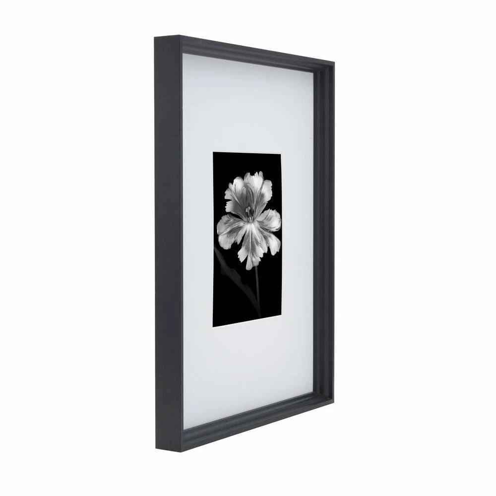 Brand new ✨ Studio Nova Black 16 x 20 Gallery Frame, Matted 8 x 10 😉 6 Brand new ✨ Studio Nova Black 16 x 20 Gallery Frame, Matted 8 x 10 😉 - Image 4