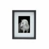 New 🛒 Studio Nova Black 8 x 10 Gallery Frame, Matted 5 x 7 😍 2 New 🛒 Studio Nova Black 8 x 10 Gallery Frame, Matted 5 x 7 😍 -Mikasa Sales 2023 black 8 x 10 gallery frame matted 5 x 7 5265633 1