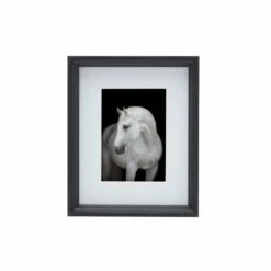 New 🛒 Studio Nova Black 8 x 10 Gallery Frame, Matted 5 x 7 😍
