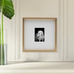 Best Sale 🔔 Mikasa® Champagne Matted Gallery Frame, 5 x 7 🔥 8 Best Sale 🔔 Mikasa® Champagne Matted Gallery Frame, 5 x 7 🔥 -Mikasa Sales 2023 champagne matted gallery frame 5 x 7 5249774 3