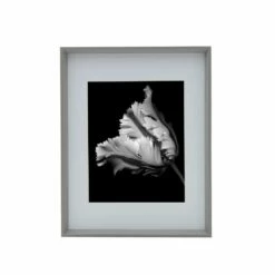 Buy ⭐ Studio Nova Gray 11 x 14 Gallery Frame, Matted 8 x 10 💯