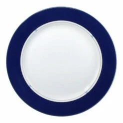 Best deal ✔️ Mikasa® Jet Set Blue Accent Dinner Plate 🧨