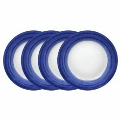 Top 10 🌟 Gourmet Basics® Madison Set of 4 Dinner Plates 🎉