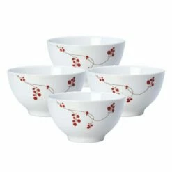 Best deal ❤️ Gourmet Basics® Red Berries Set of 4 Soup Cereal Bowls 🎁