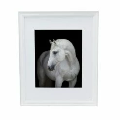 Brand new 🛒 Studio Nova White 16 x 20 Gallery Frame, Matted 11 x 14 🧨