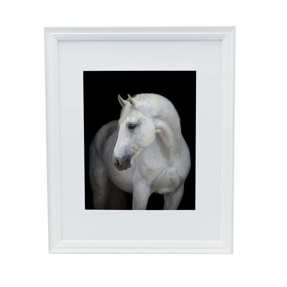Brand new 🛒 Studio Nova White 16 x 20 Gallery Frame, Matted 11 x 14 🧨 3 Brand new 🛒 Studio Nova White 16 x 20 Gallery Frame, Matted 11 x 14 🧨